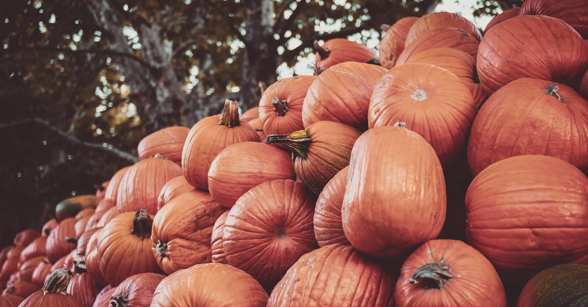 How do I plant crops newly acquired in trade? - Photo of Pumpkins How do I plant crops newly acquired in trade? - Photo of Pumpkins