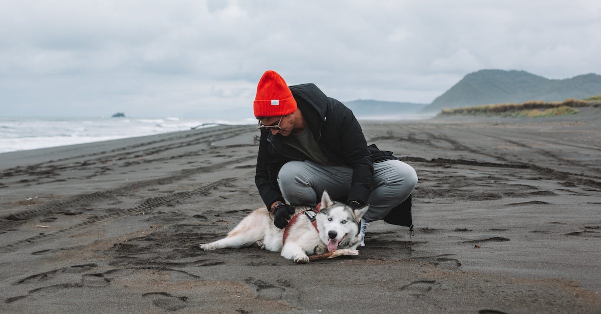 How do I play Mountain on linux? - Male in warm hat and coat wearing sunglasses playing with cute Husky on wet sandy beach on overcast day