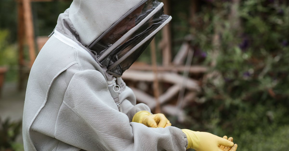 How do I put ant farm survival into my server? - Crop male beekeeper in protective uniform and gloves standing in apiary while preparing for work