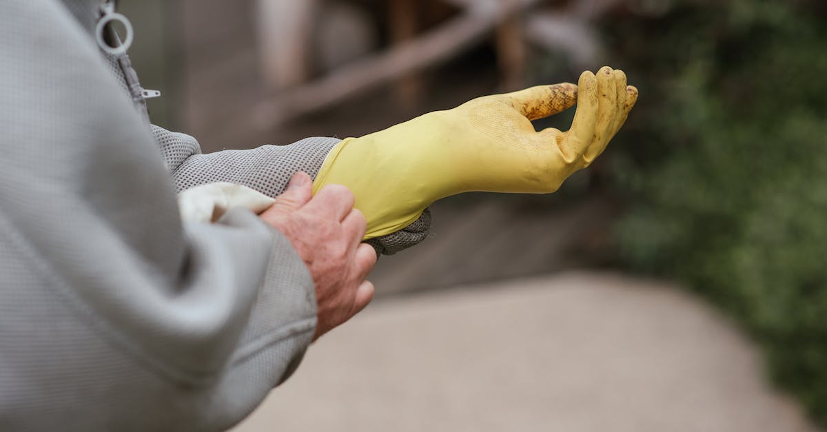 How do I put ant farm survival into my server? - Crop faceless male beekeeper  in protective uniform putting on gloves for safety harvesting honey in countryside