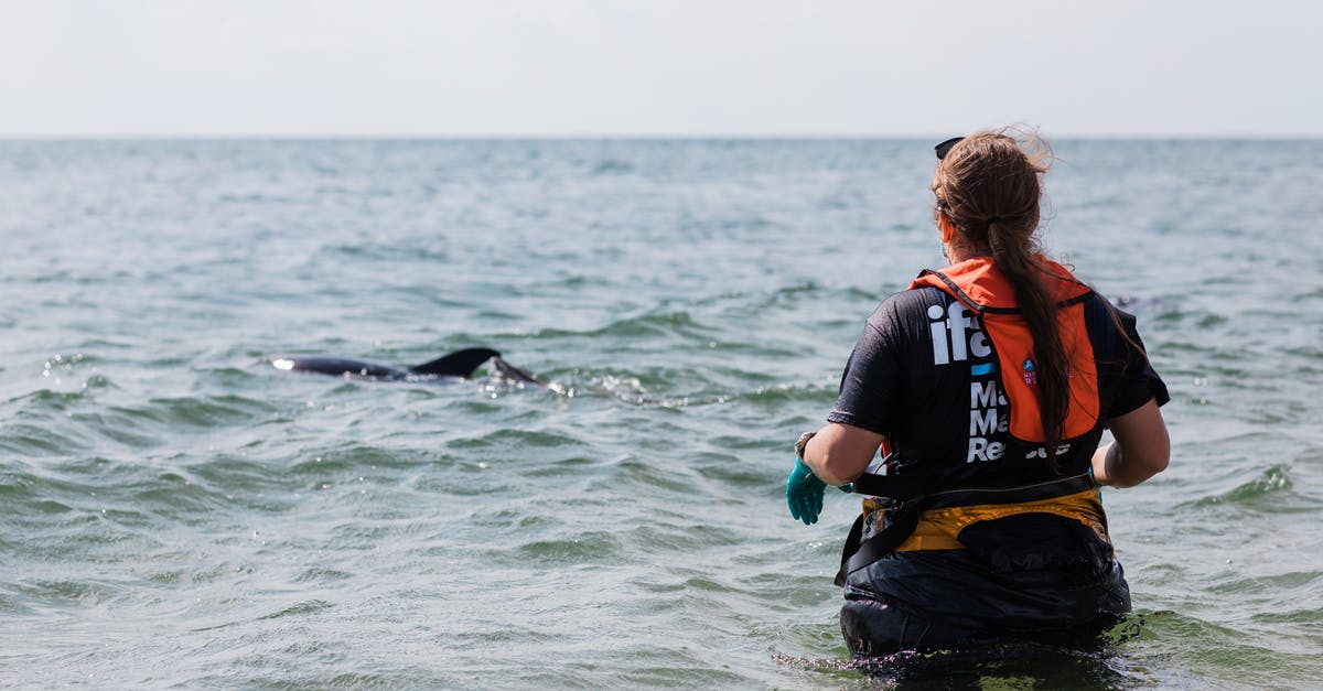 How do I release a Pokemon? - Person Looking at a Dolphin How do I release a Pokemon? - Person Looking at a Dolphin