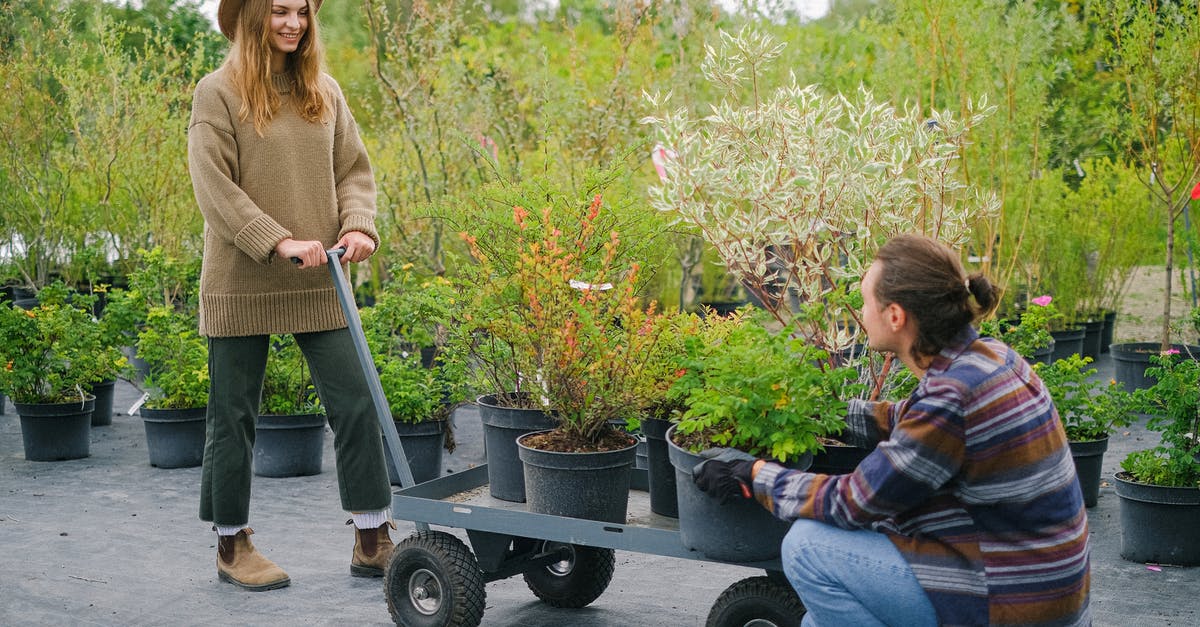 how do I remove positive potion effects? - Content gardeners wearing casual outfits placing lush verdant plants on wheelbarrow while working together in botanical garden and looking at each other with smile how do I remove positive potion effects? - Content gardeners wearing casual outfits placing lush verdant plants on wheelbarrow while working together in botanical garden and looking at each other with smile