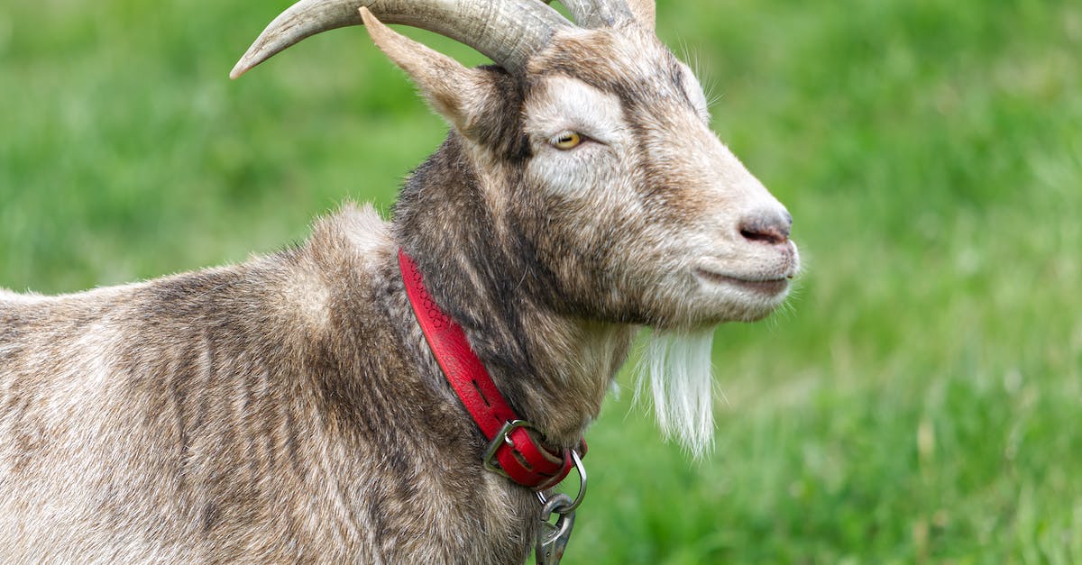 How do I replicate a chain lift? - Goat Wearing a Leash How do I replicate a chain lift? - Goat Wearing a Leash
