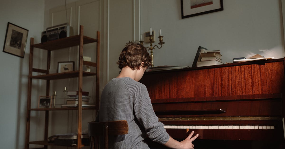 How do I resolve the unrecognized plugins by BOSS? - Person Sitting in Front of a Piano