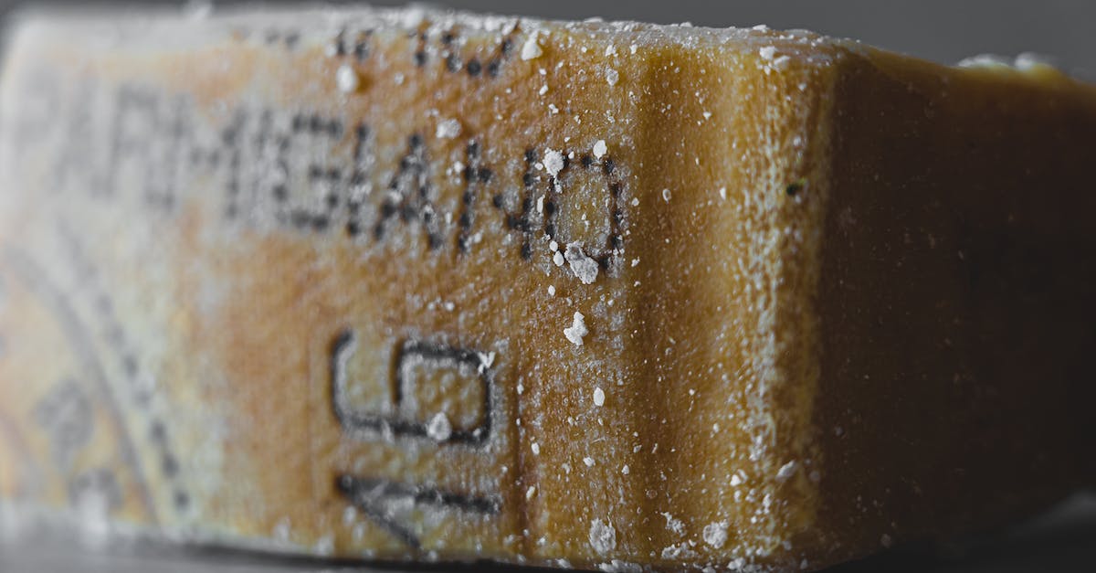 How do I run Counter-Strike 1.6 in Zombie mode? [closed] - Block of Parmigiano Cheese