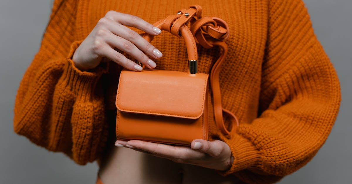 How do I save in Mini Ninjas? - Mini Orange Leather Bag held by a Person wearing Knitted Sweater How do I save in Mini Ninjas? - Mini Orange Leather Bag held by a Person wearing Knitted Sweater