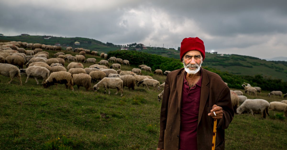 How do I sell my Elder Scrolls? - Photo Of Old Man With Herd Of Sheep