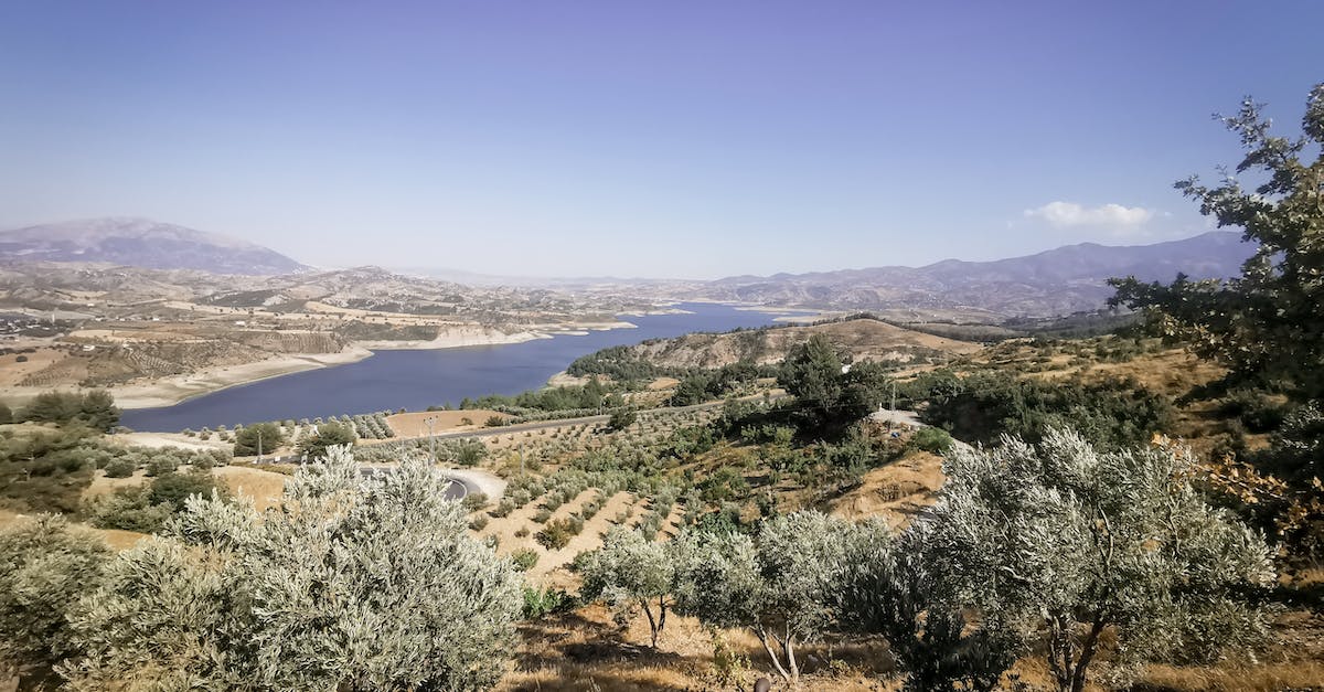 How do I spread taint to a certain area in Thaumcraft? - Green Trees on Brown Field