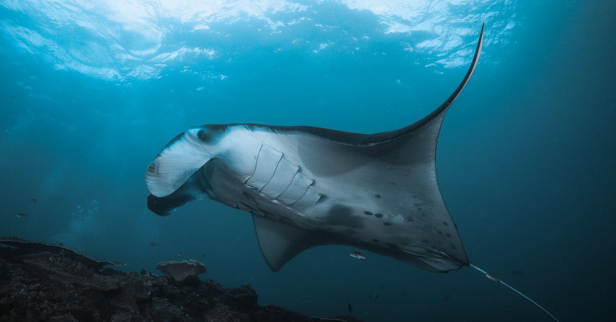 How do I swim underwater in GTA San Andreas for iOS? - heaven on earth How do I swim underwater in GTA San Andreas for iOS? - heaven on earth