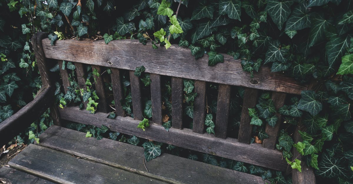 How do I switch plants in PvZ garden warfare - Wooden Bench in the Garden How do I switch plants in PvZ garden warfare - Wooden Bench in the Garden