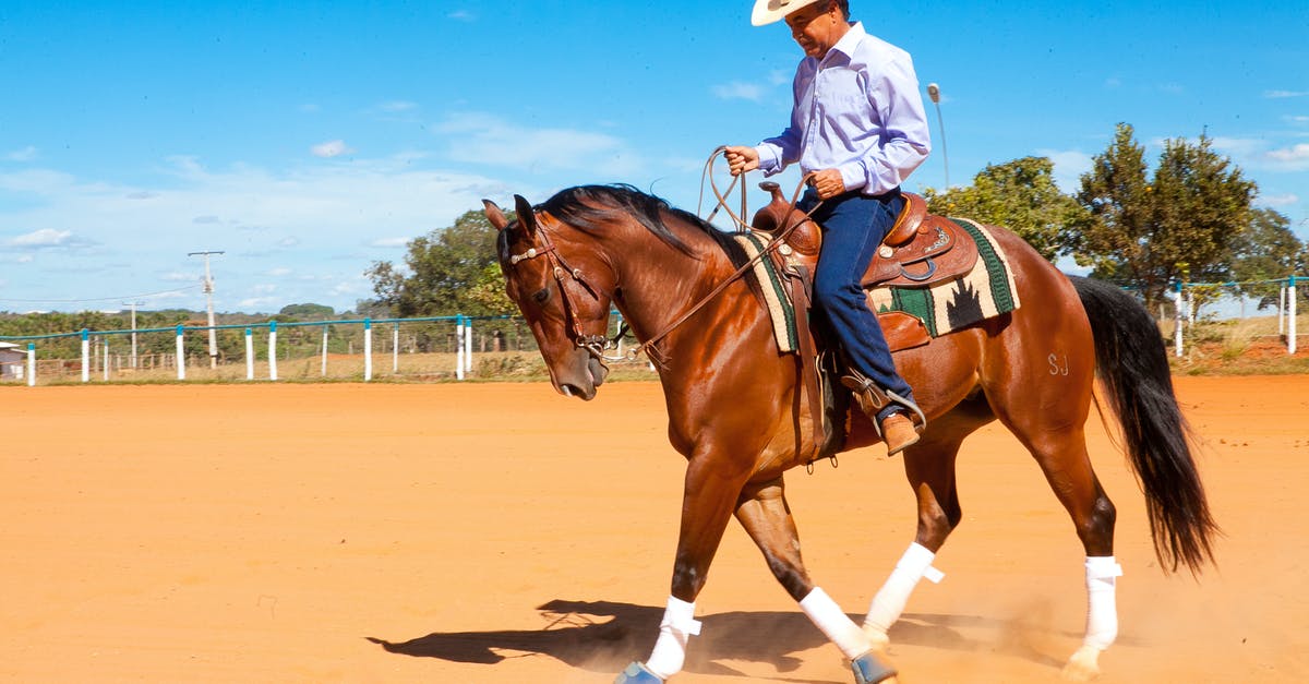 How do I tame and ride the undead horses? - A Man Riding Brown Horse