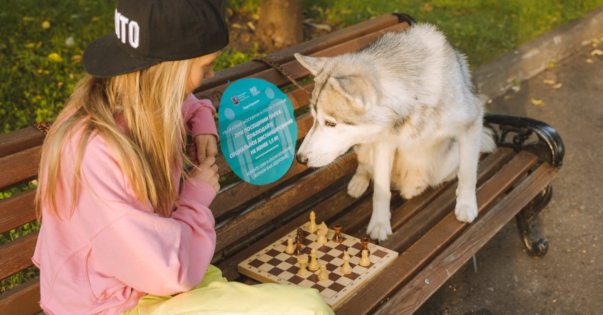How do I tell if I'm playing on a Valve server? - Free stock photo of active, canine, child