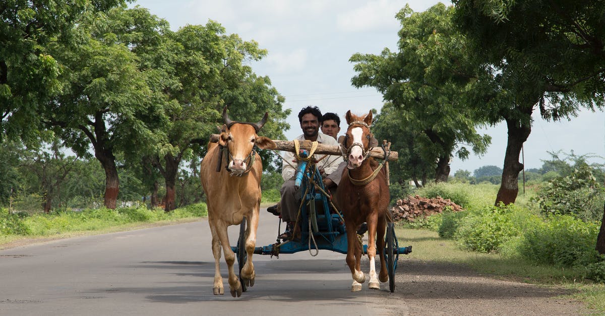 How do i throw bombs closer in Bad Bomber Cart in Super Bomberman 4 for SNES? - Man in White Shirt Riding Brown Horse on Road How do i throw bombs closer in Bad Bomber Cart in Super Bomberman 4 for SNES? - Man in White Shirt Riding Brown Horse on Road