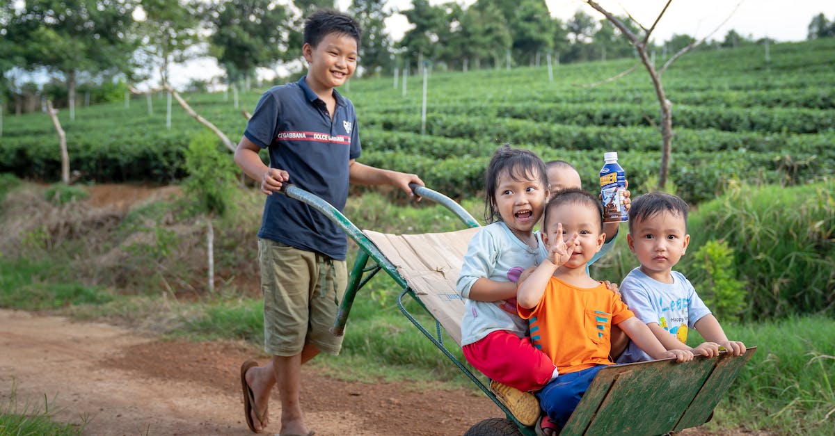 How do I transfer my village to another ID on the same device? - Funny Asian toddlers having fun while brother riding metal wheelbarrow on rural road in green agricultural plantation How do I transfer my village to another ID on the same device? - Funny Asian toddlers having fun while brother riding metal wheelbarrow on rural road in green agricultural plantation