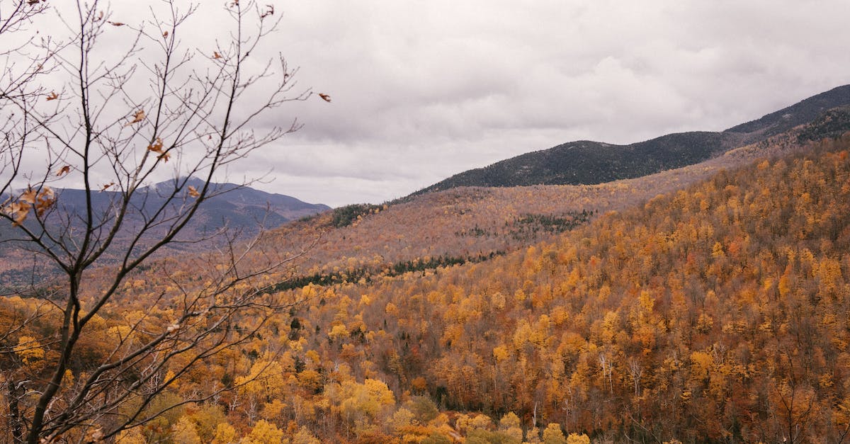 How do I turn the weather cycle off all the time? [duplicate] - Picturesque autumn landscape with yellow forest