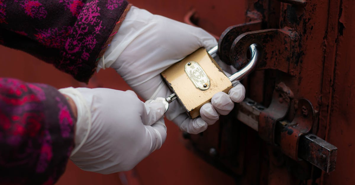 How do I unlock the lock at the end of Sputnik Eyes? - Person Holding Gold Padlock With Key