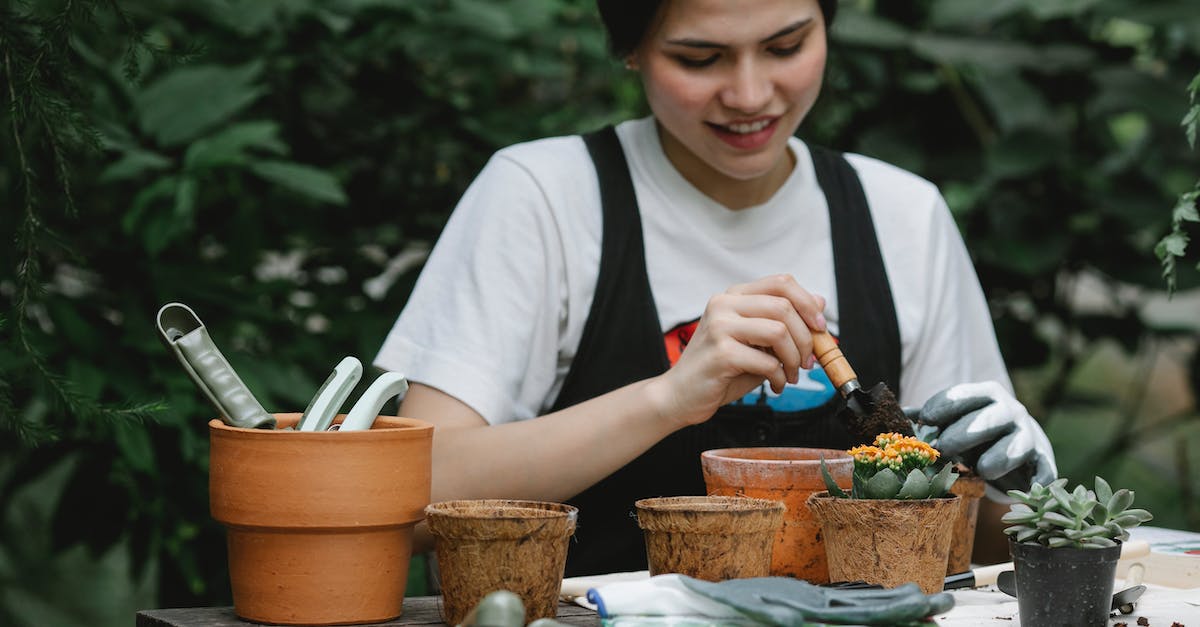 How do I use /setblock to put down a flower pot with an Oxeye Daisy in it? - Smiling woman planting flower in pot