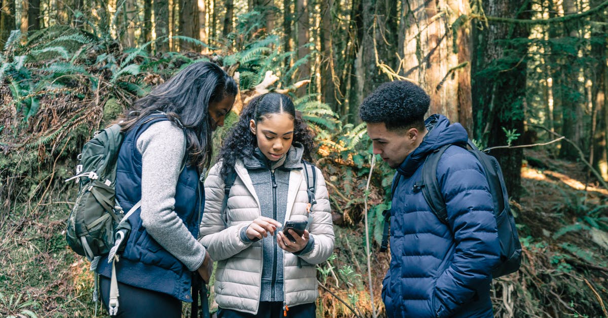 How do I use survival trail scrolls? - People Looking at a Smartphone