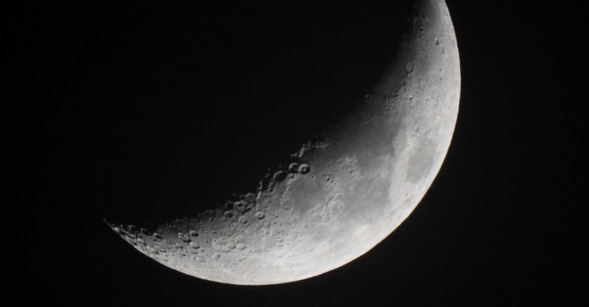 How do I use the Lunar flowers? - Full Moon in Dark Night Sky