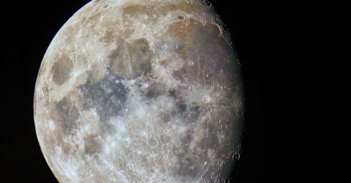 How do I use the Lunar flowers? - Close-Up Shot of the Moon 