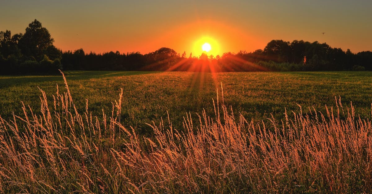 How do I view my XP / level progression? - Brown and Green Grass Field during Sunset How do I view my XP / level progression? - Brown and Green Grass Field during Sunset