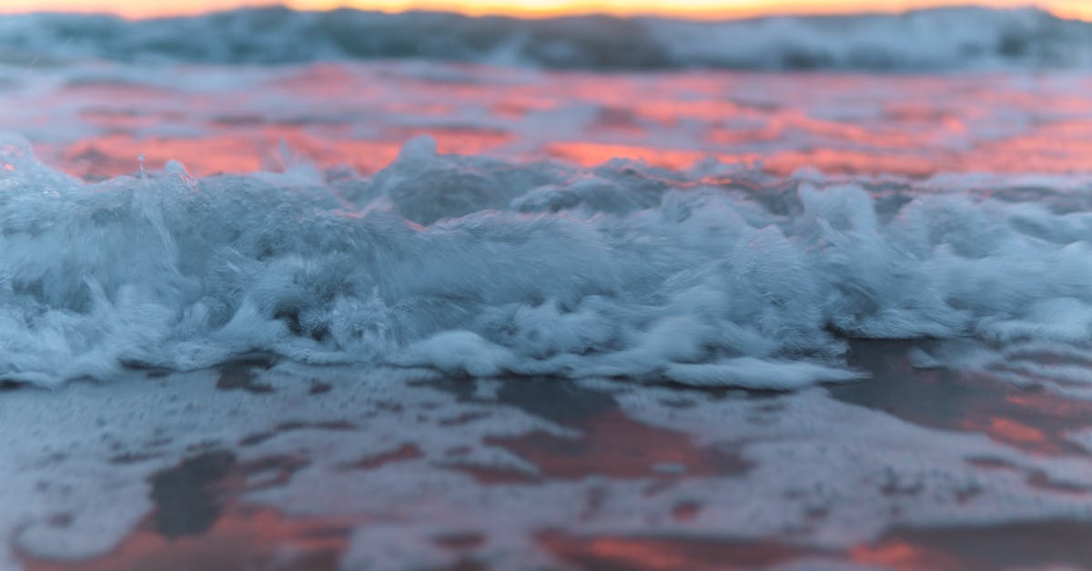 How do I view my XP / level progression? - Foamy waves of sea rolling on shore against sundown sky How do I view my XP / level progression? - Foamy waves of sea rolling on shore against sundown sky