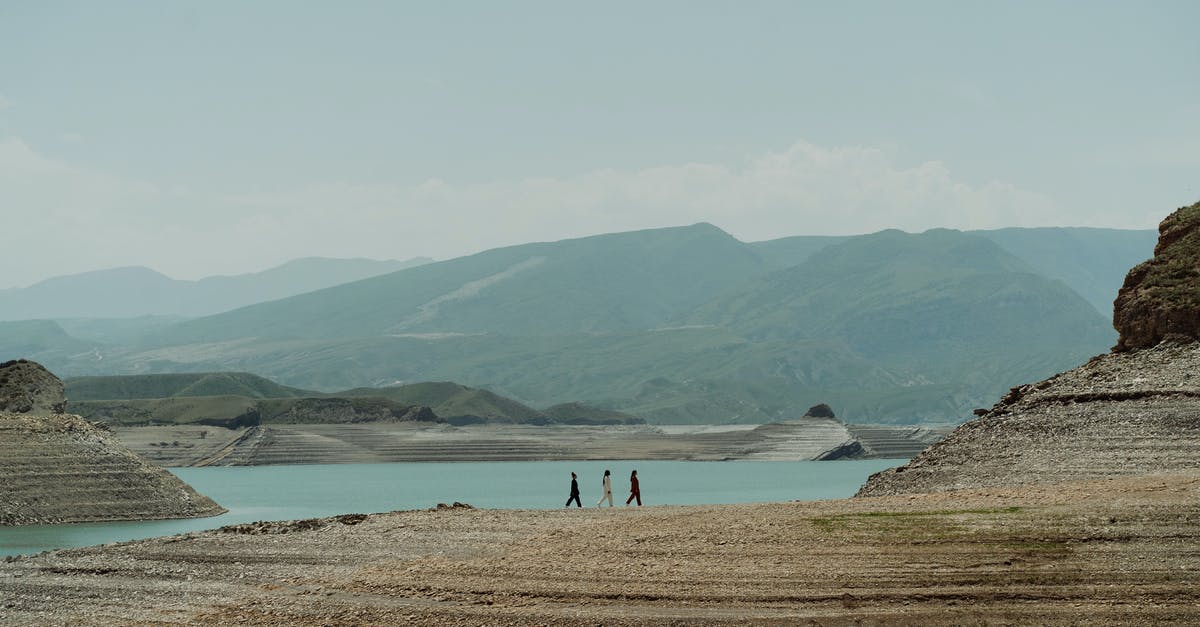 How do I view the archives? - 2 People Standing on Brown Sand Near Body of Water