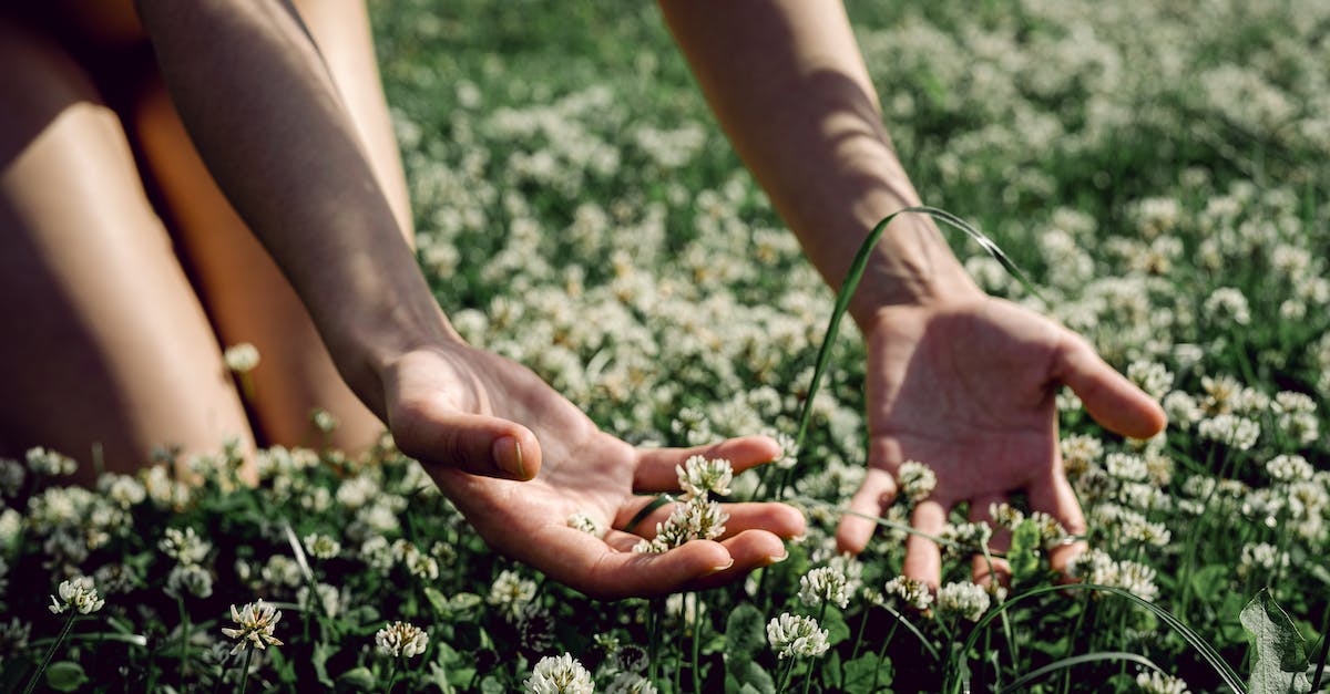 How do monsters level in your farm? - Person Touching the Flowers in the Field How do monsters level in your farm? - Person Touching the Flowers in the Field