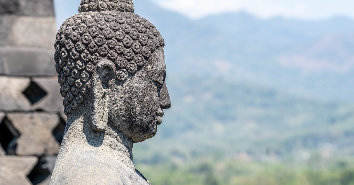 How do powerups and pickups stack up in Temple Run 2? - Photo of a Buddha Statue How do powerups and pickups stack up in Temple Run 2? - Photo of a Buddha Statue