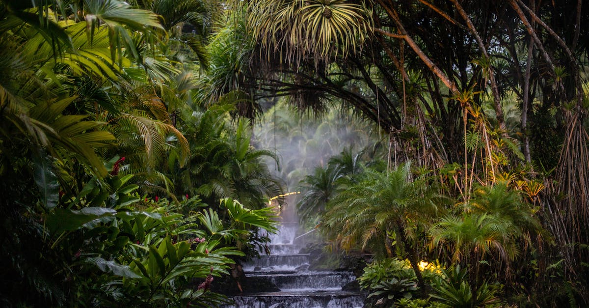How do steps and Pokémon Gen VI O-Powers relate? - Waterfall on Steps and Palms in a Jungle How do steps and Pokémon Gen VI O-Powers relate? - Waterfall on Steps and Palms in a Jungle