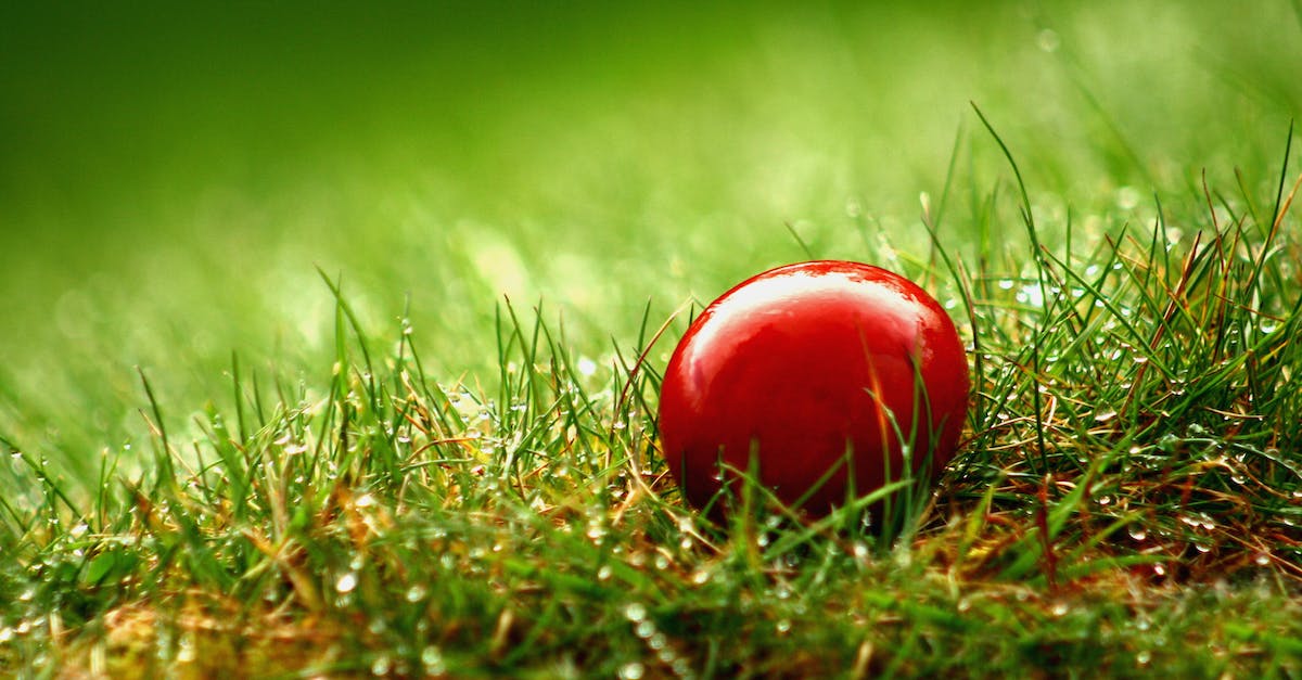 How do the Bonus Reward skills/items interact with each other? (JP Up, Exp Up, More Money, Growth Egg and Golden Egg) - Red Egg on Green Grass