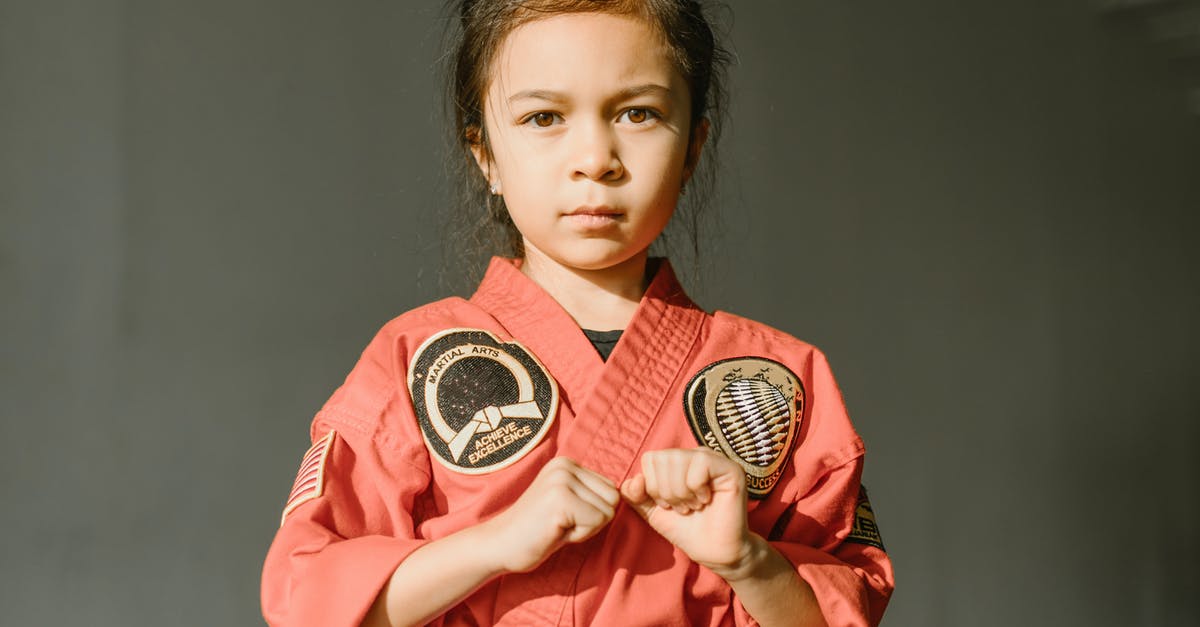 How do the general enemies hurt you in the NES game Kung Fu? - Free stock photo of adolescent, adult, aikido