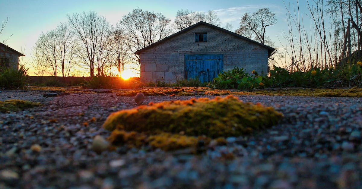 How do the new door levels correspond to the old ones? - Ground level of small aged stone cabin with metal doors located in countryside near grassy terrain and leafless trees during sunset How do the new door levels correspond to the old ones? - Ground level of small aged stone cabin with metal doors located in countryside near grassy terrain and leafless trees during sunset