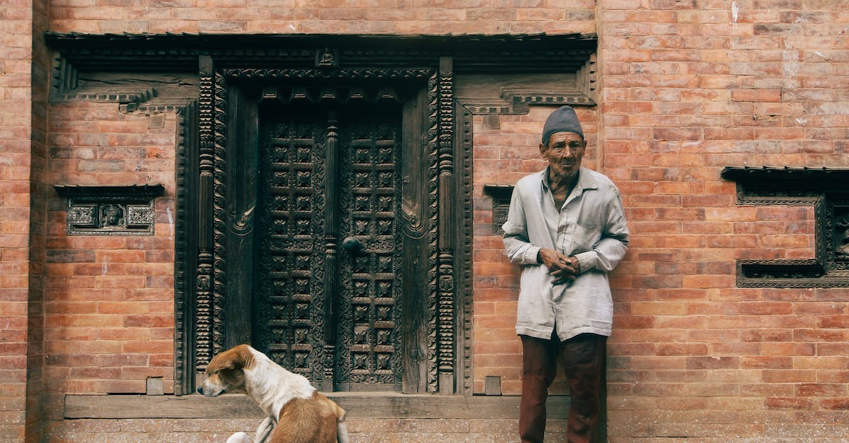 How do the new door levels correspond to the old ones? - Man in Gray Jacket Standing Beside Brown and White Short Coated Dog How do the new door levels correspond to the old ones? - Man in Gray Jacket Standing Beside Brown and White Short Coated Dog
