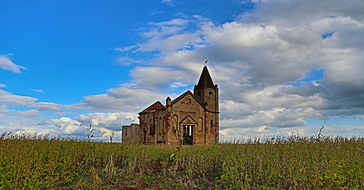 How do you damage the ?? level enemies? - Ground level of abandoned stone church located in green grassy field against cloudy blue sky in Palmital