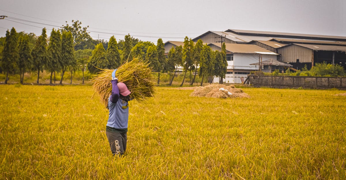 How do you explain ganking, carrying, farming, etc. to a newcomer? - Free stock photo of farmer, human, indonesian