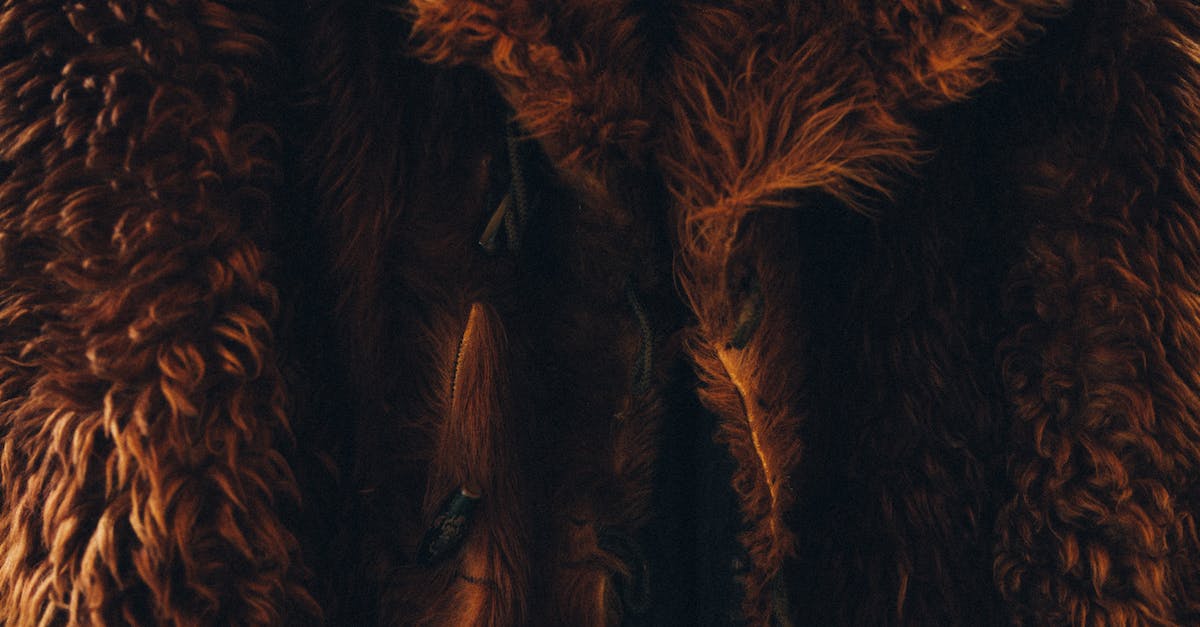 How do you find out about the quality of a Skin? - Brown Fur Coat