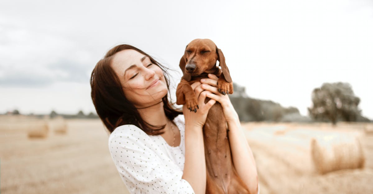 How do you get a dog to come while it's standing up in minecraft - Smiling Woman Carrying Brown Dachshund