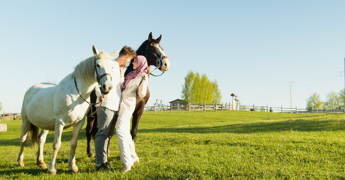 How do you get horses in Minecraft for PS4? - Free stock photo of arab, arabian, arabic How do you get horses in Minecraft for PS4? - Free stock photo of arab, arabian, arabic
