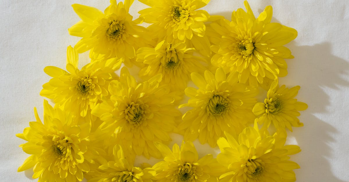 How do you get the yellow squares in the background? - Yellow flowers on white background How do you get the yellow squares in the background? - Yellow flowers on white background