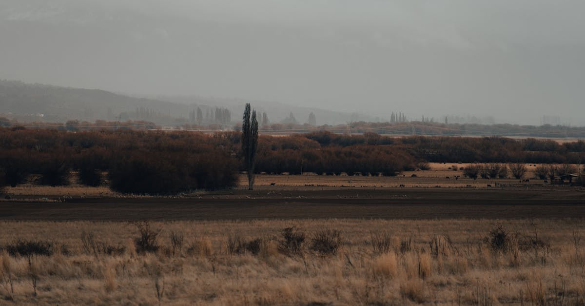 How do you land on the Quantum Moon? - Brown Grass Field