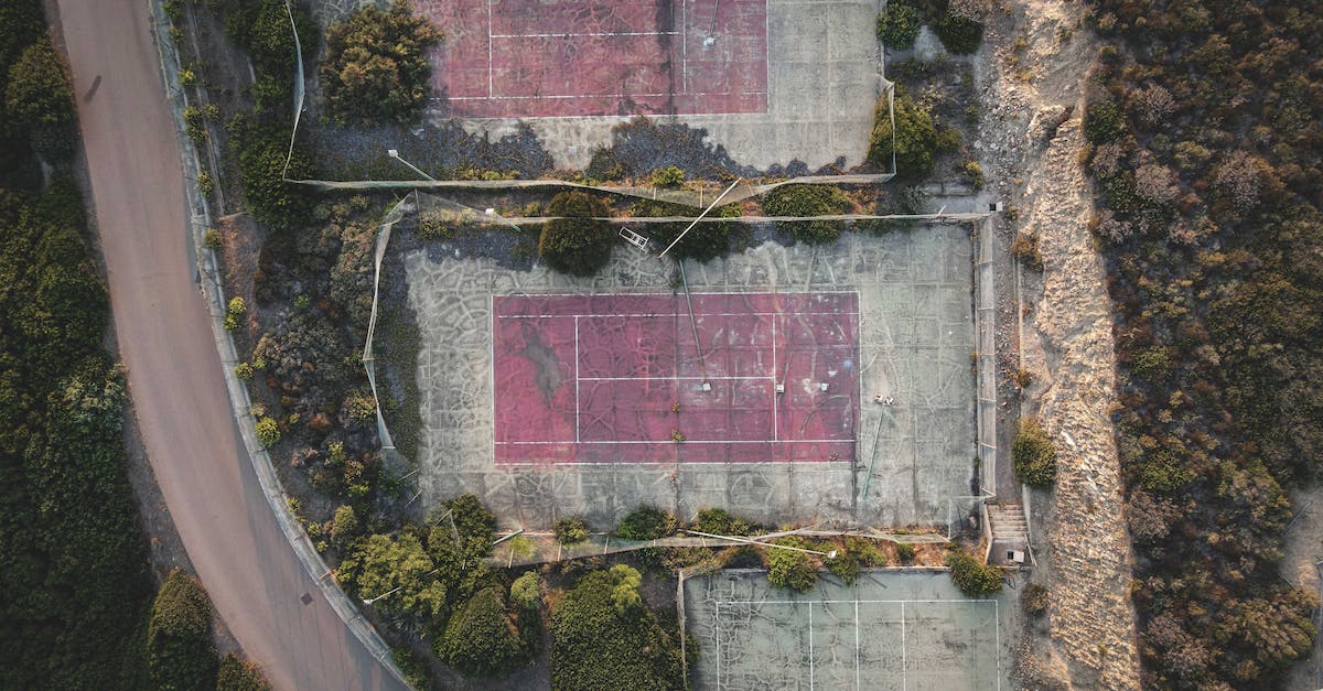 How do you land safely at the beginning of the game? - Aerial view of sport grounds surrounded by lush trees How do you land safely at the beginning of the game? - Aerial view of sport grounds surrounded by lush trees