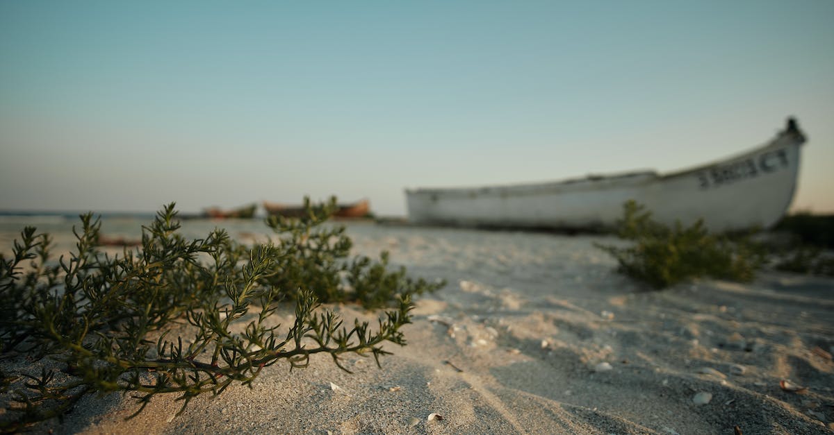 How do you navigate the invisible maze in the desert? - Old ship and bushes in desert How do you navigate the invisible maze in the desert? - Old ship and bushes in desert
