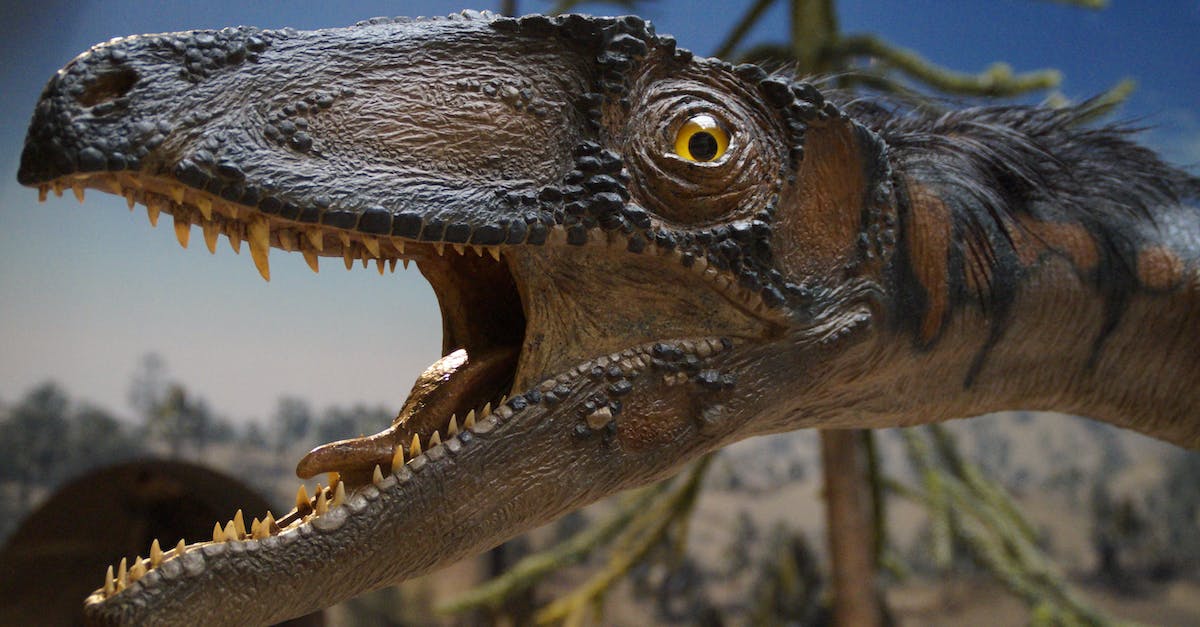 How do you unlock Eye and Teeth operations? - Brown Dinosaur Beside Green Tree