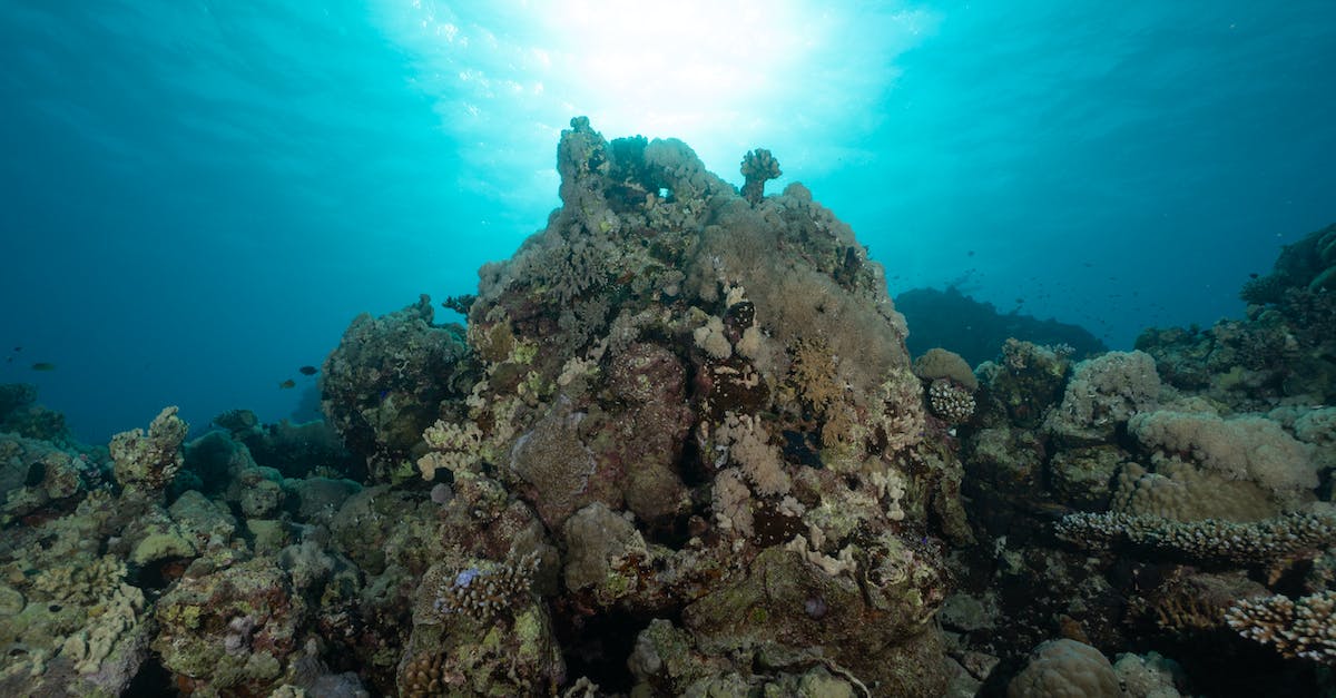 How do you use a depth meter? - Free stock photo of redsea, sea, soft How do you use a depth meter? - Free stock photo of redsea, sea, soft