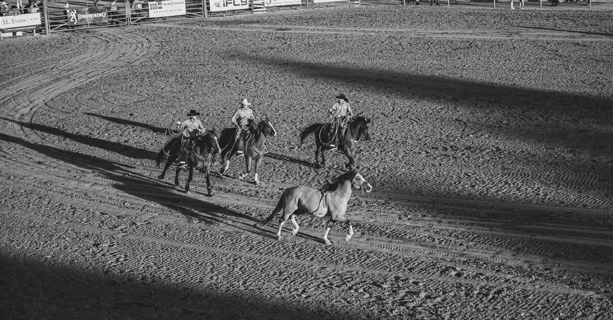 How does arena category work on Marvel Contest of Champions? - Grayscale Photo of People Riding Horses in a Rodeo Event How does arena category work on Marvel Contest of Champions? - Grayscale Photo of People Riding Horses in a Rodeo Event