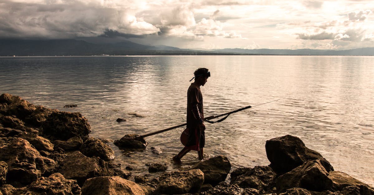 How does chain fishing work? - Person Holding Spear Beside Body of Water