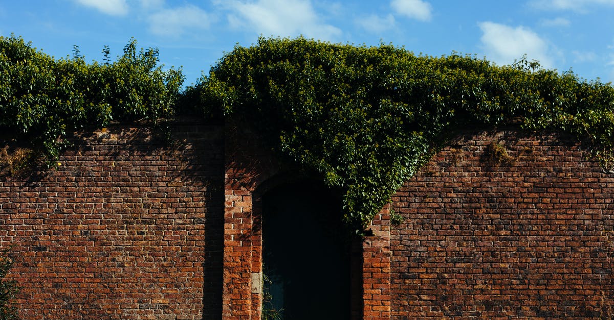 How does Ralph know about the Castle's secret garden entrance? - Brown Brick Wall Surrounded With Green Plant How does Ralph know about the Castle's secret garden entrance? - Brown Brick Wall Surrounded With Green Plant