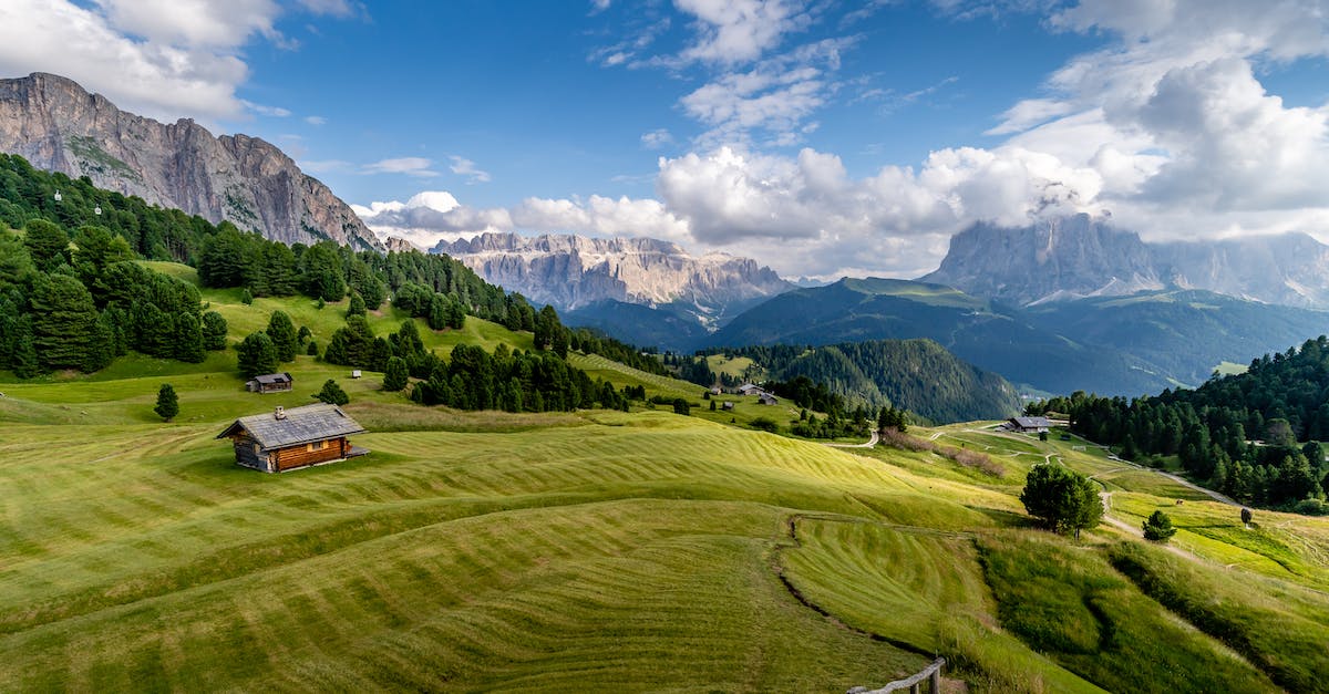 How does stunning work? - Green Grass Field and Trees Under Blue Sky