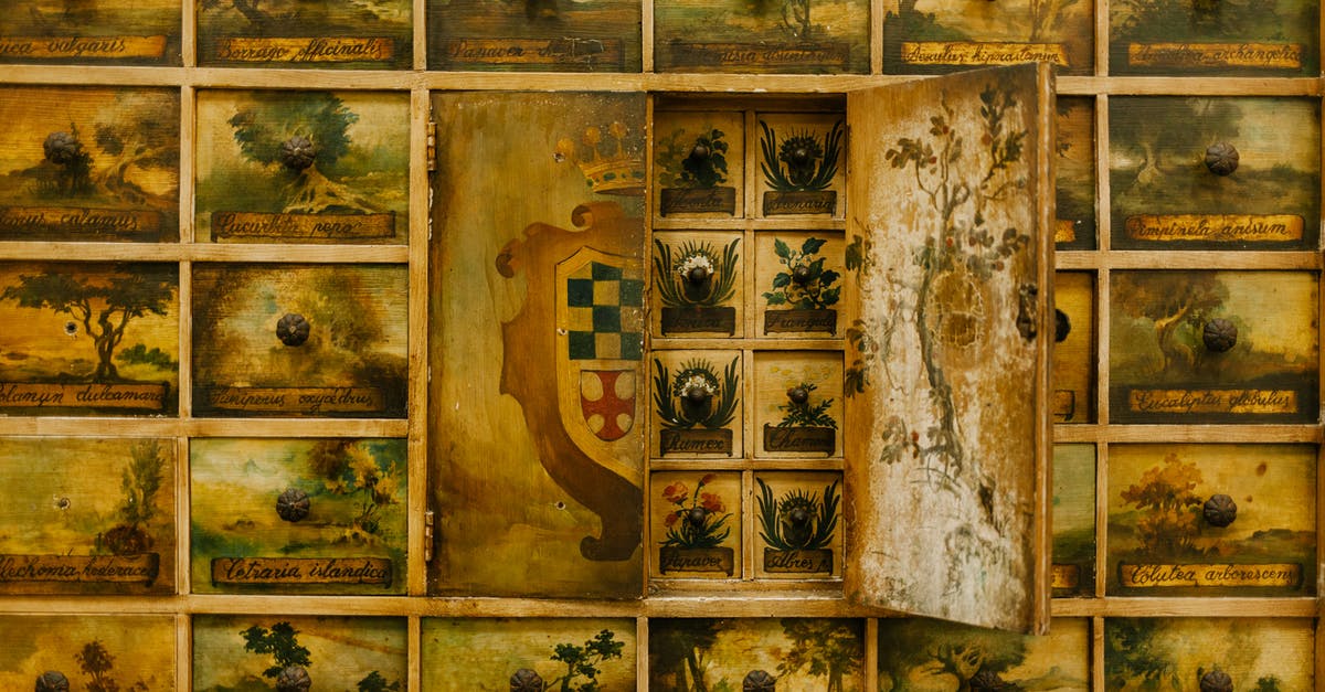 How does the handling differ in PPT1 vs. PPT2? - Wall with different paintings on cabinet doors with coat of arms in historical style